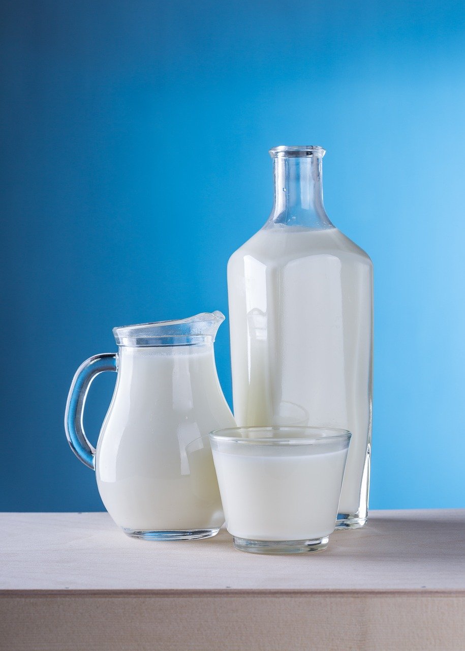 menu-02 milk, dairy products, jug, bottle, rustic, useful, white, healthy eating, nutrients, food, products, milk, milk, milk, milk, milk